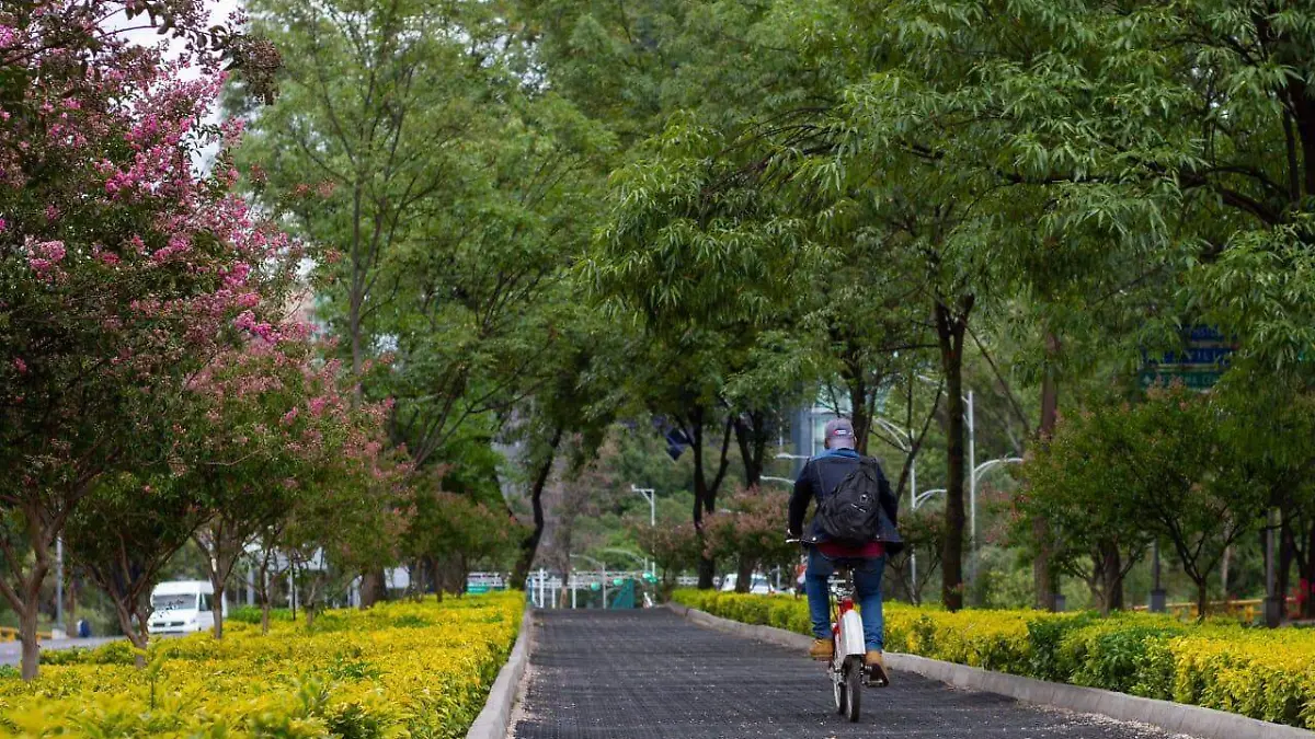 Medio ambiente CDMX (5)